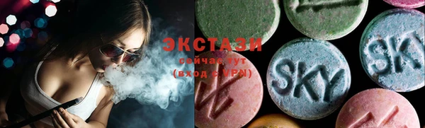 стаф Новокубанск