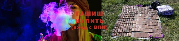 стаф Новокубанск