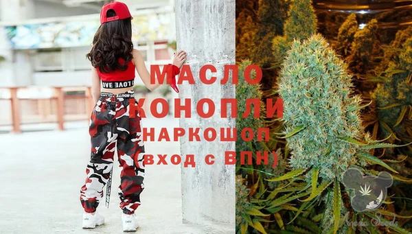 стаф Новокубанск