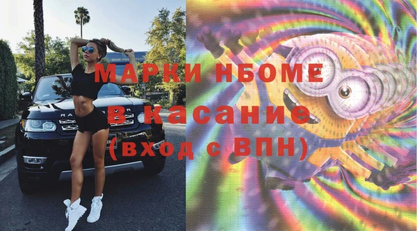 стаф Новокубанск