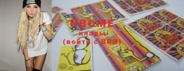 стаф Новокубанск