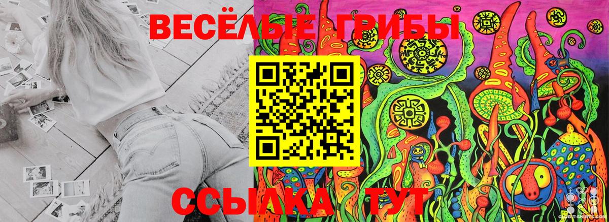 Уфа  Псилоцибиновые грибы Psilocybe  Вход с VPN  Псилоцибиновые грибы MAGIC MUSHROOMS 